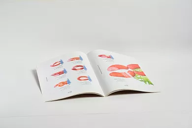 Печатная продукция